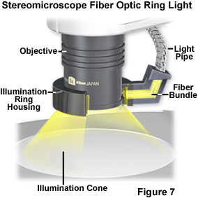 stereoreflected figure7