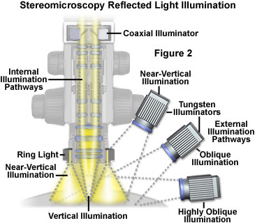 stereoreflected figure2