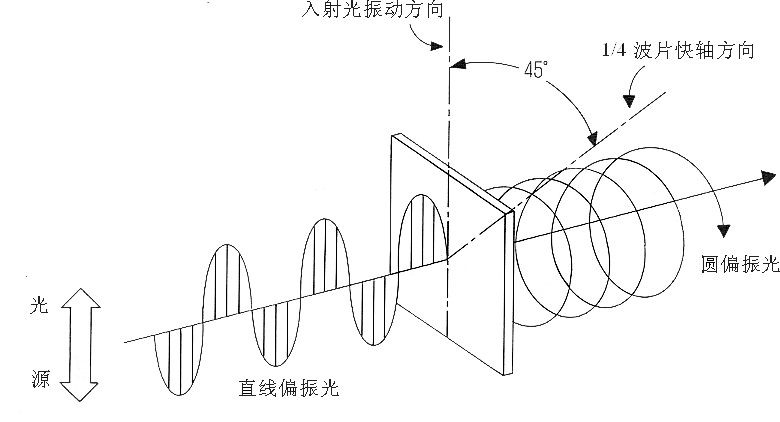 偏振光