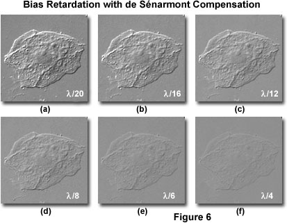 de senarmont intro figure6