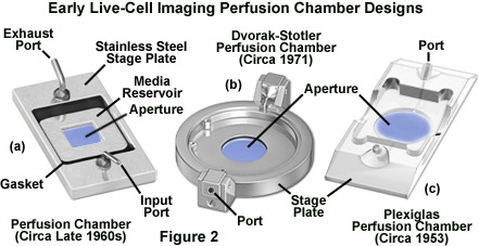 chambers figure2