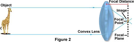 convex lens1