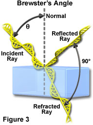 polarized light figure3