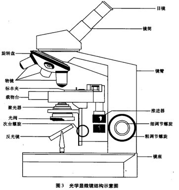 光學顯微鏡結構圖