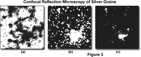 reflectedconfocalfigure3