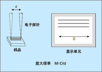 顯微鏡放大倍率