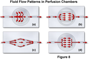 chambers figure8