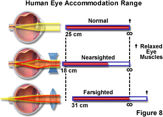 human vision figure8