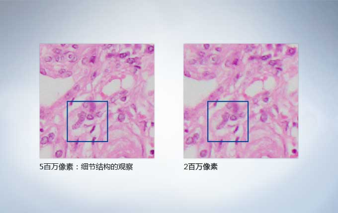 奧林巴斯顯微鏡