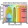 尼康顯微鏡綠色激發塊G-2E/C（帶通）