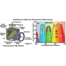 奧林巴斯顯微鏡：熒光顯微鏡的干涉濾光片