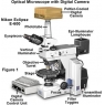 尼康顯微鏡：CCD成像基本原理