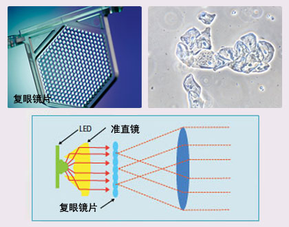 E100 強大的LED環保照明.jpg