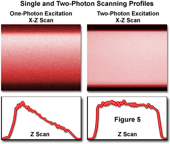 multiphotonintro figure5