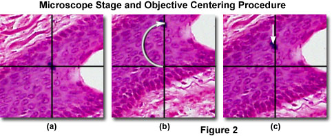 pol micro alignment figure2