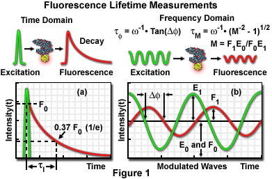 flim figure1