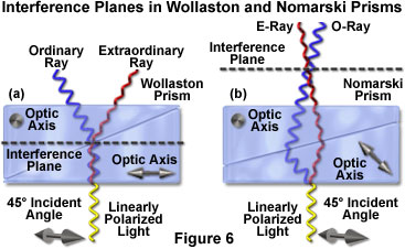 dic intro figure6