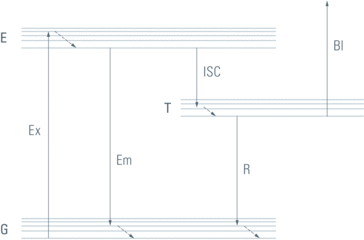 Figure-2