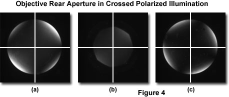 pol micro alignment figure4