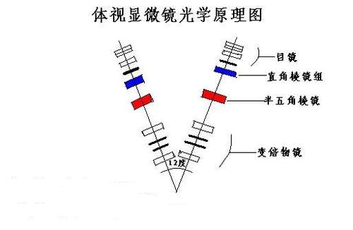 體視顯微鏡光學原理圖