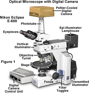 digital eclipse