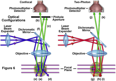 multiphotonintro figure6