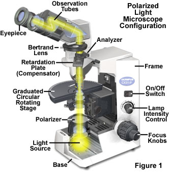 pol micro alignment figure1