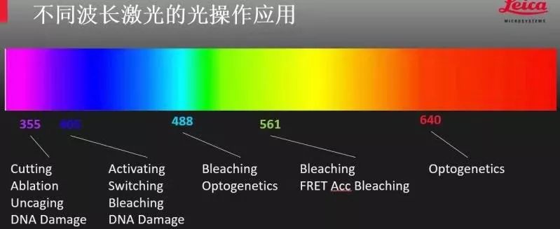 奧林巴斯顯微鏡