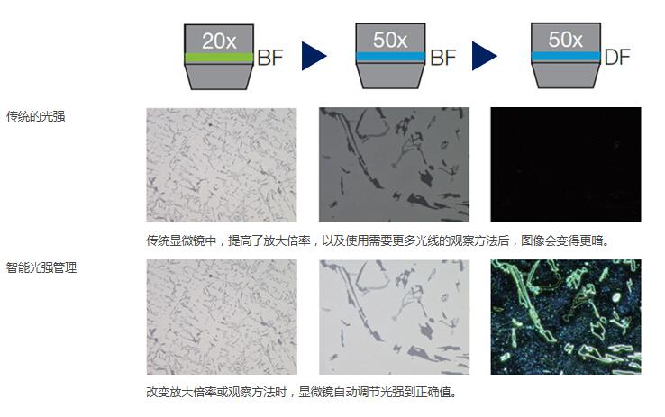 奧林巴斯顯微鏡